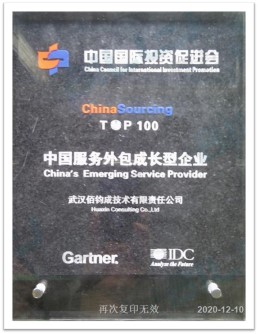 Top100中國服務外包成長型企業