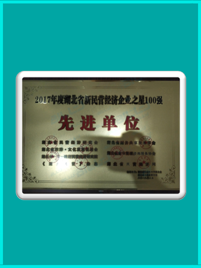 2017年度湖北省新民營經濟企業之星100強