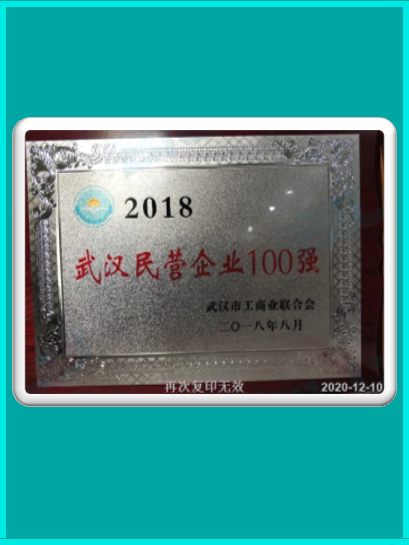 2018武漢民營企業100強