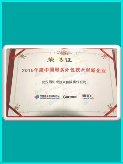 2015年度中國服務外包技術創新企業